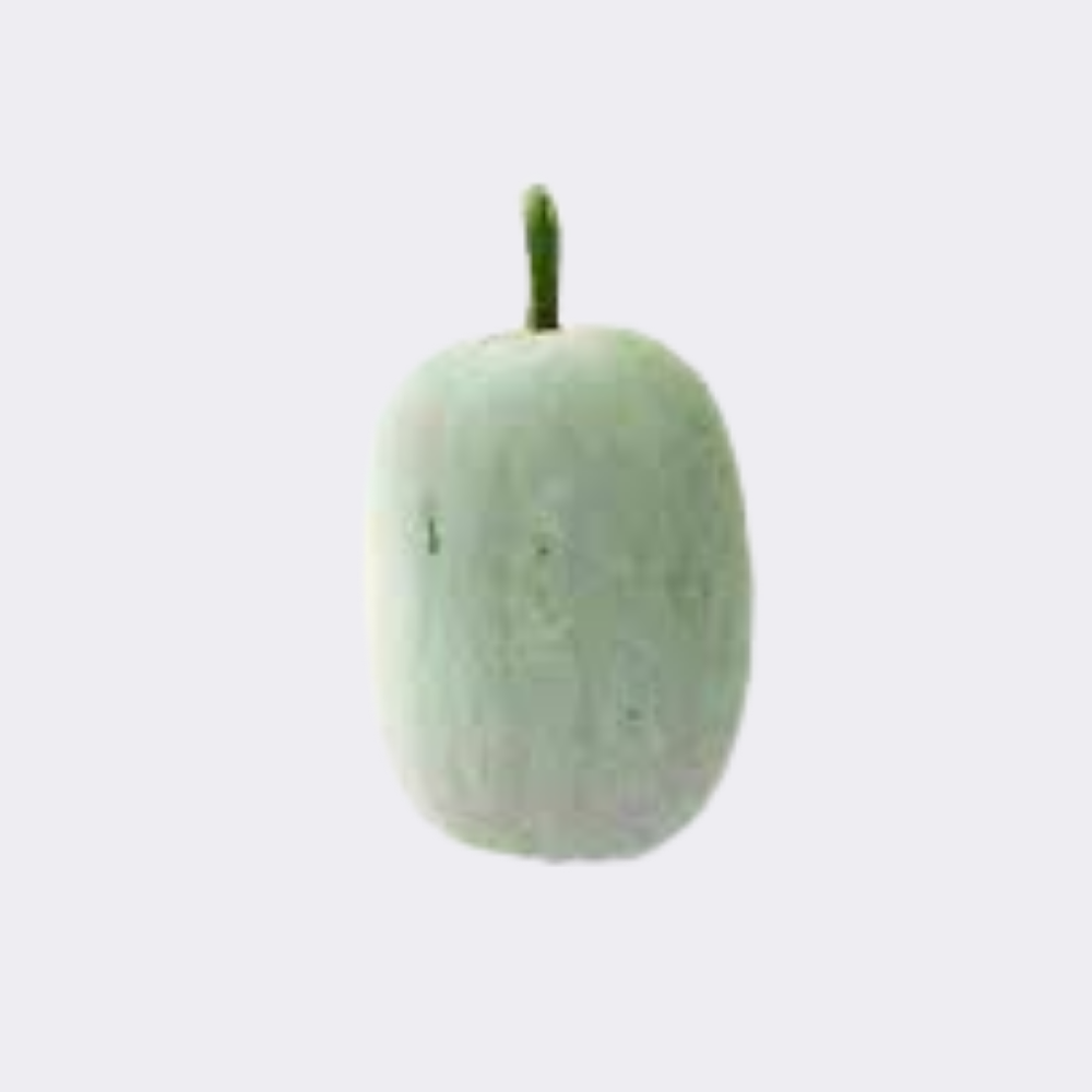 Ash Guard 500gm - Image 3