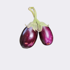 Aubergine Ravia Round Stripy 500gm