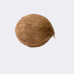 Coconut (Single)