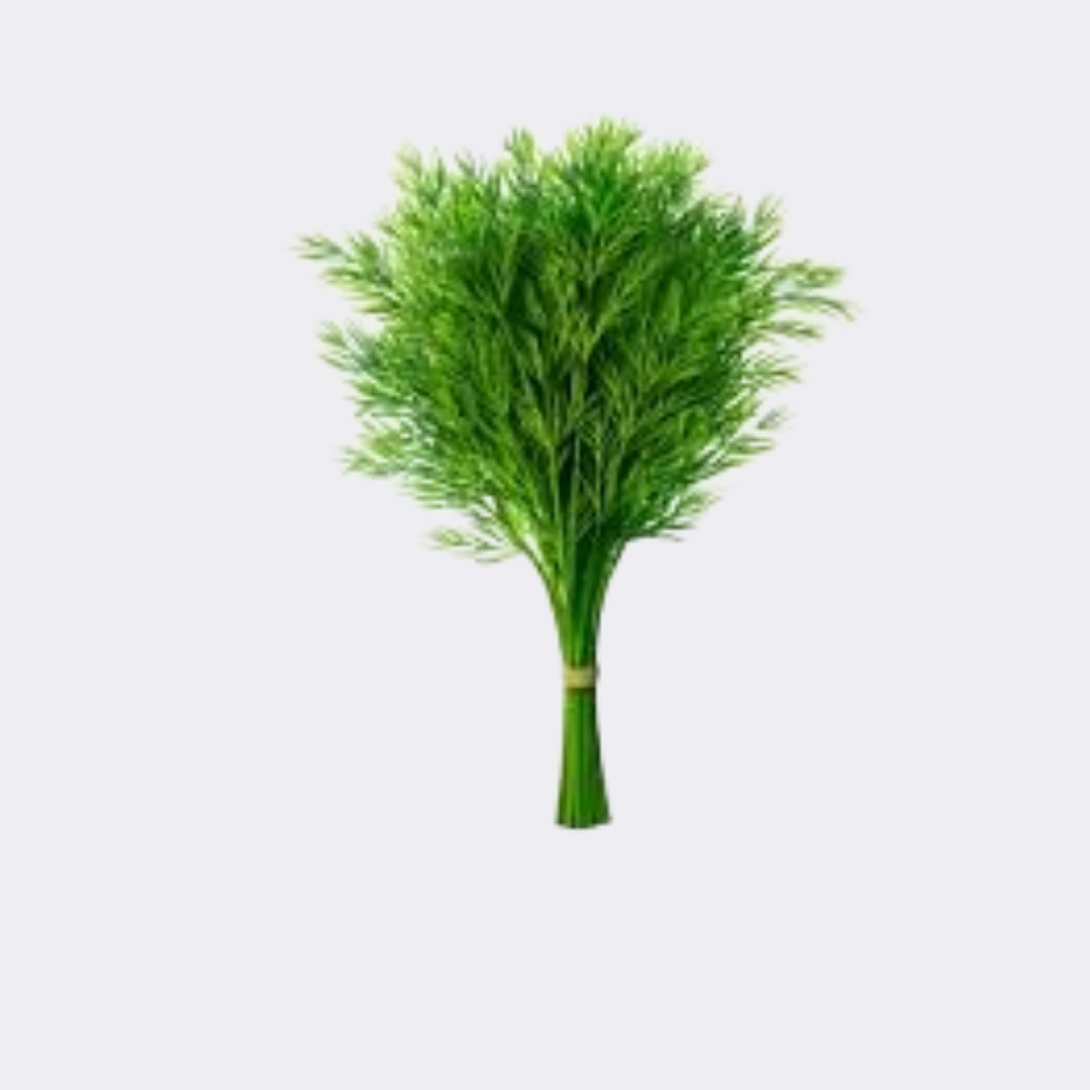 Dill Bunch (Single) - Image 3