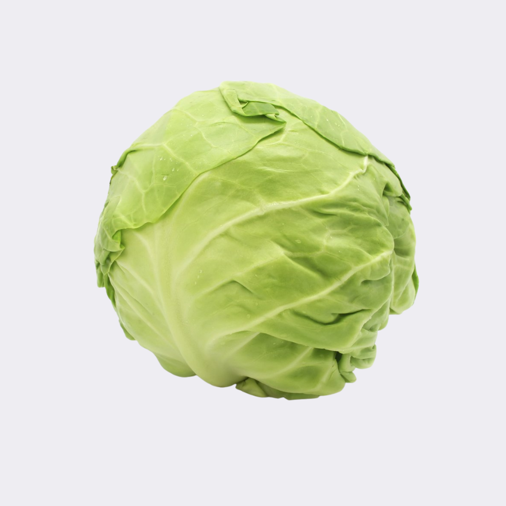 Green Cabbage (Single) - Image 2