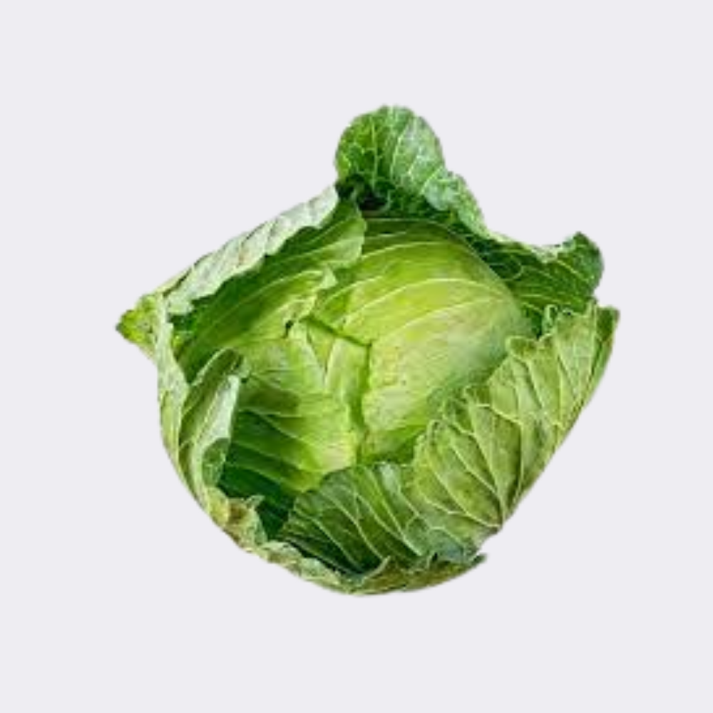 Green Cabbage (Single) - Image 3
