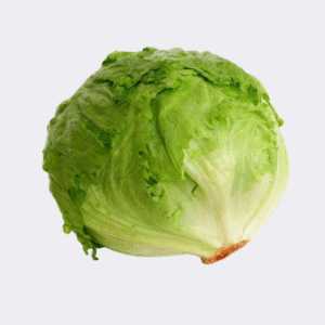Iceberg (Single)