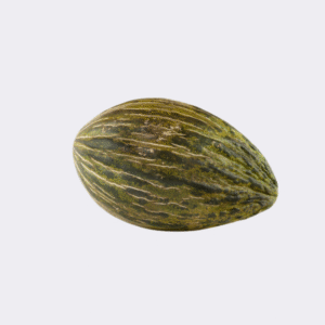 Melon Frog (Single)