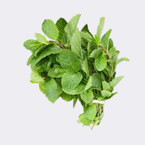 Mint Bunch
