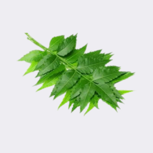 Neem Leaves Packet 25gm