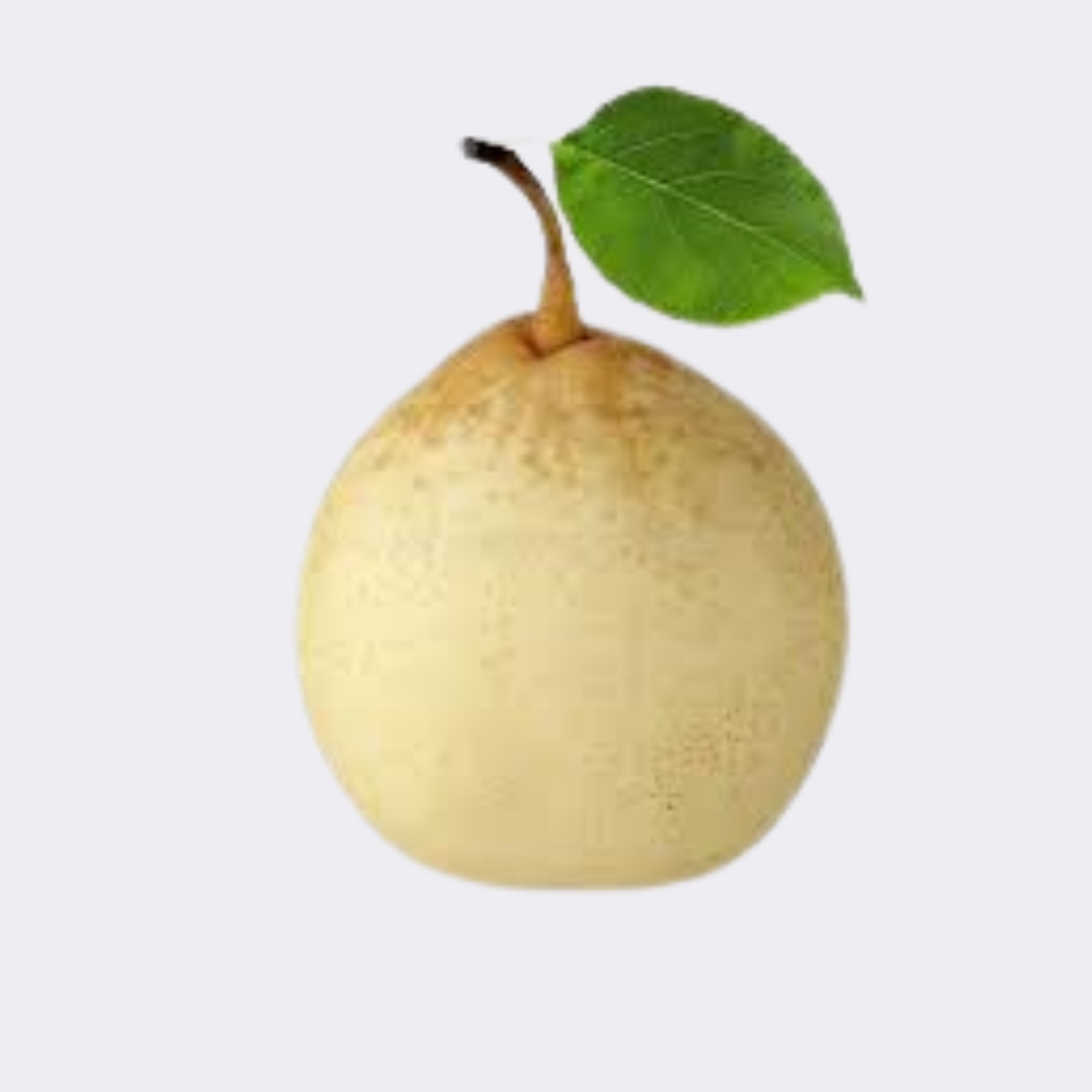 Pear Chinise (Single) - Image 3