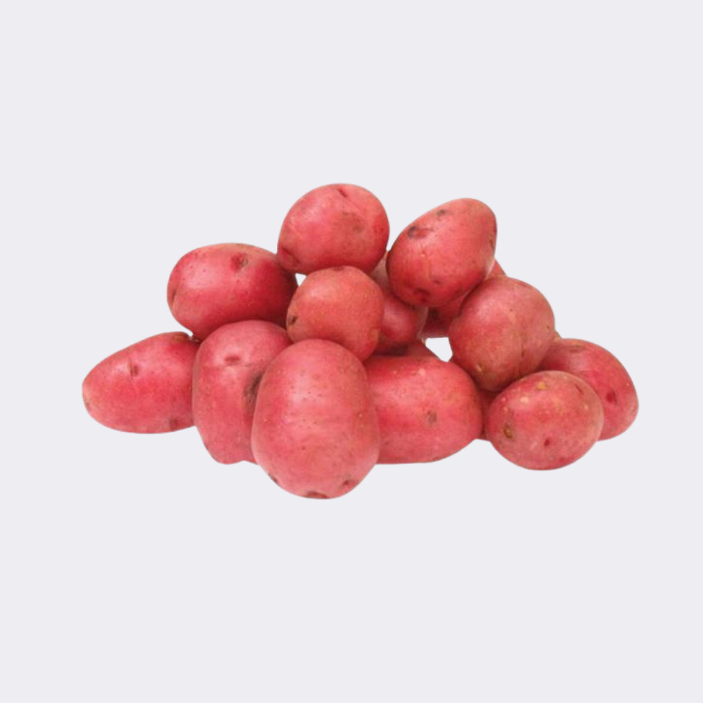 Potato Red - Image 11
