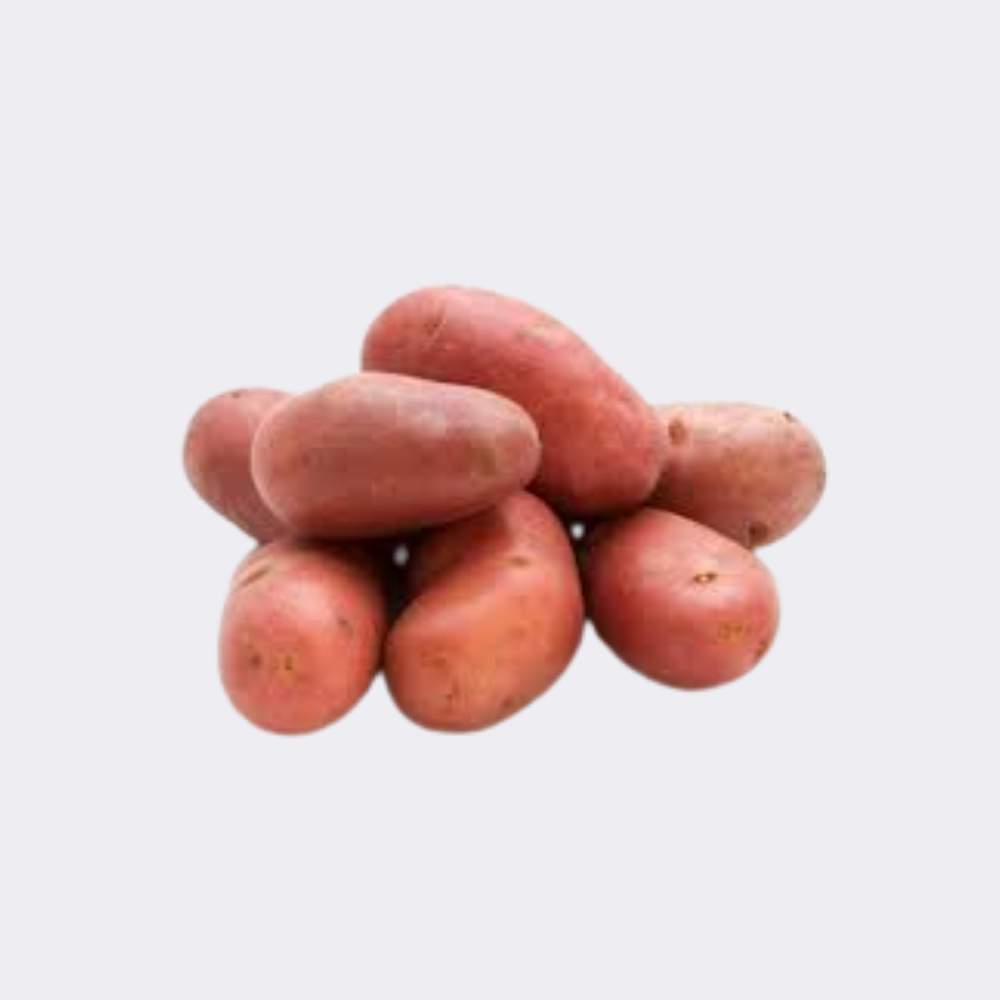 Potato Red - Image 6