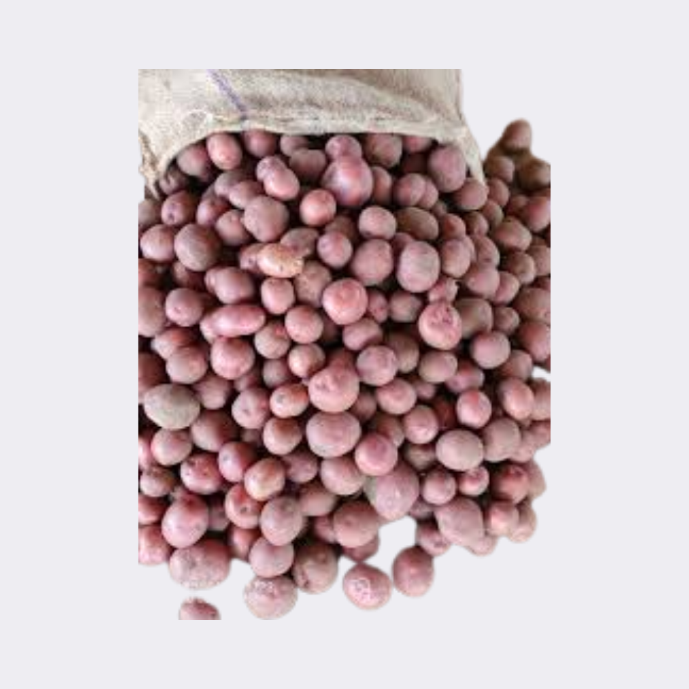 Potato Red - Image 8