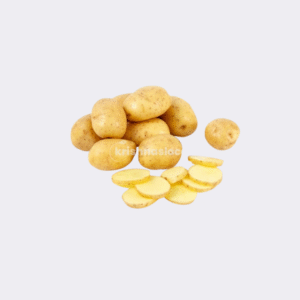 Potato White