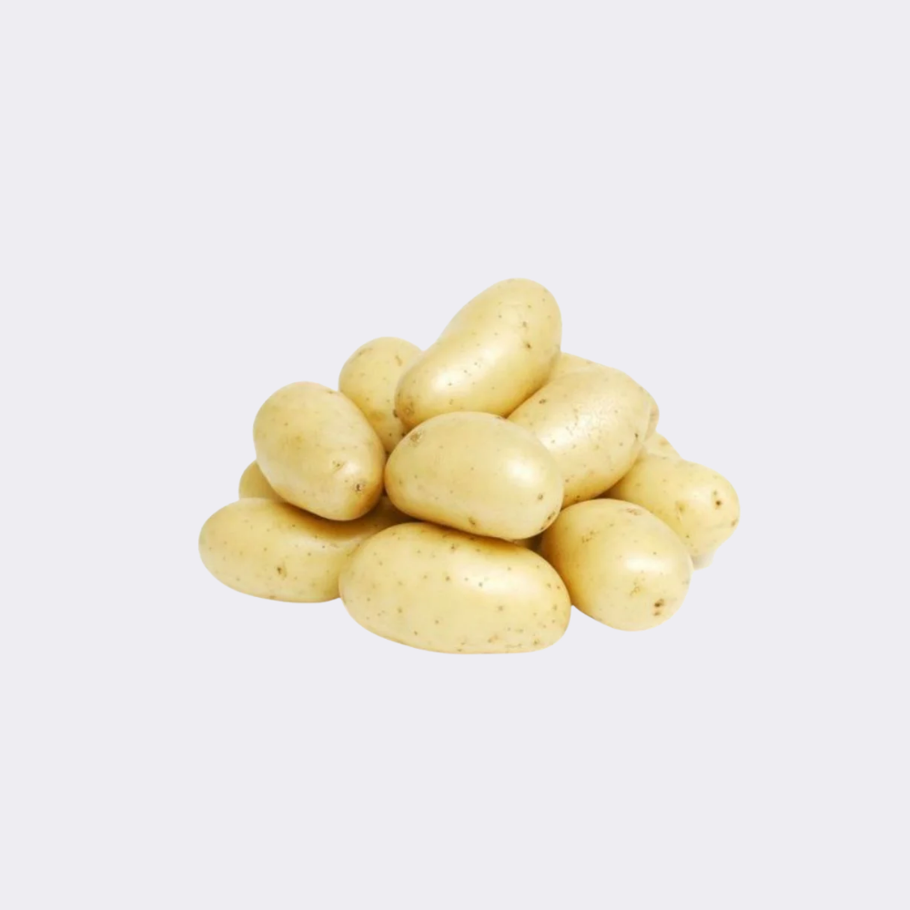 Potato White - Image 11
