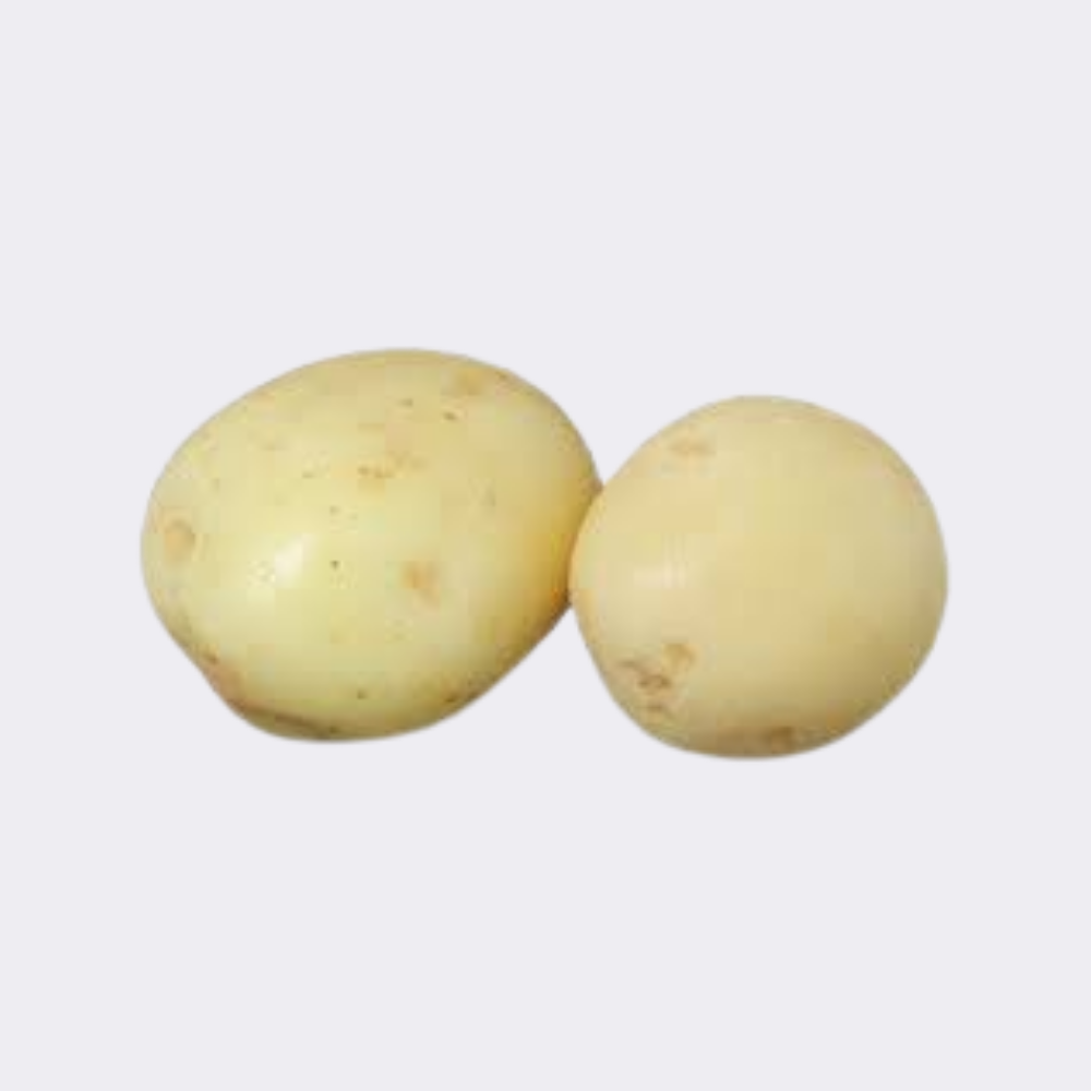 Potato White - Image 4