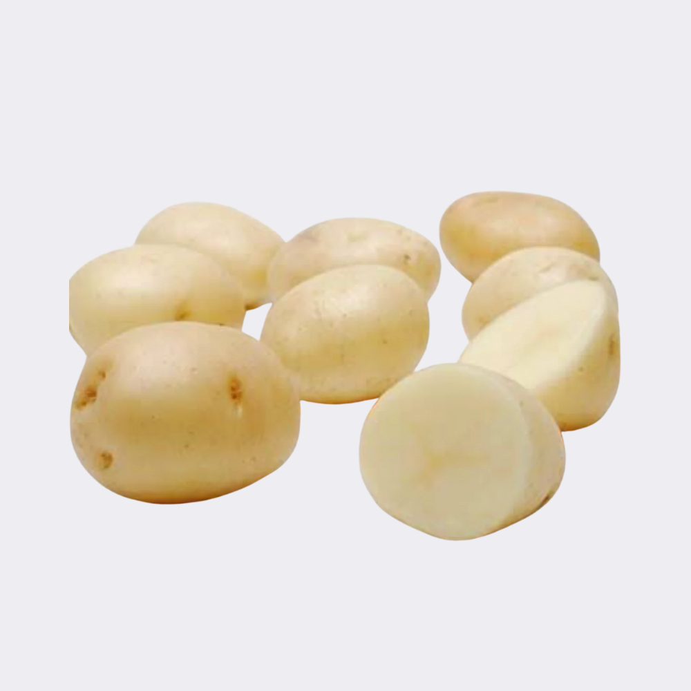 Potato White - Image 8