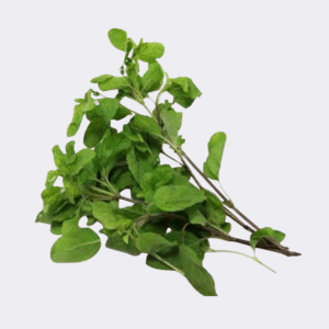 Prepacked Basil (Tulsi)