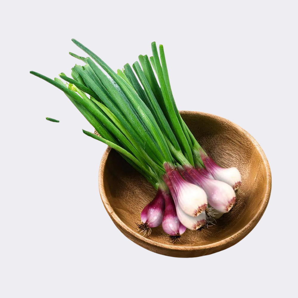 Spring Onion Bunch - Image 2