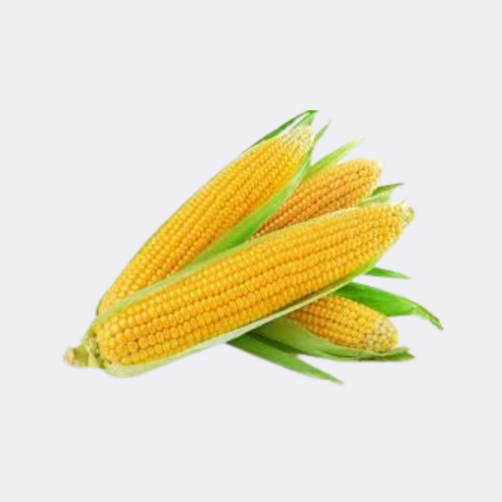 Sweetcorn