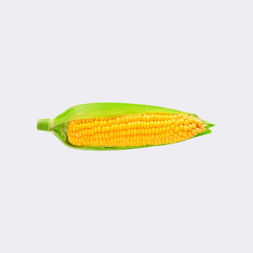 Sweetcorn - Image 2