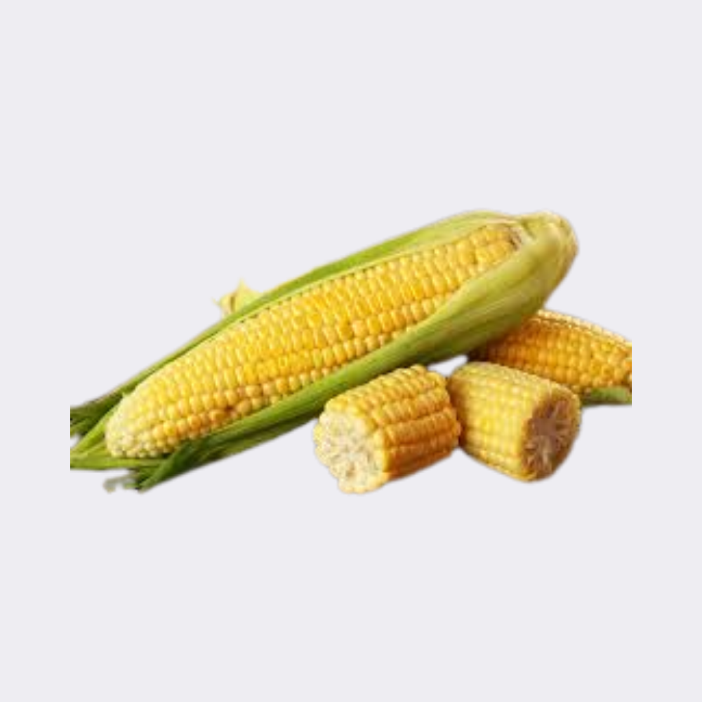 Sweetcorn - Image 3