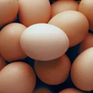 Large eggs (30pcs)